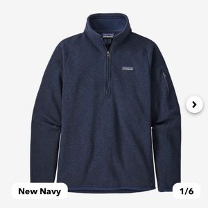 NWT Patagonia Better Sweater